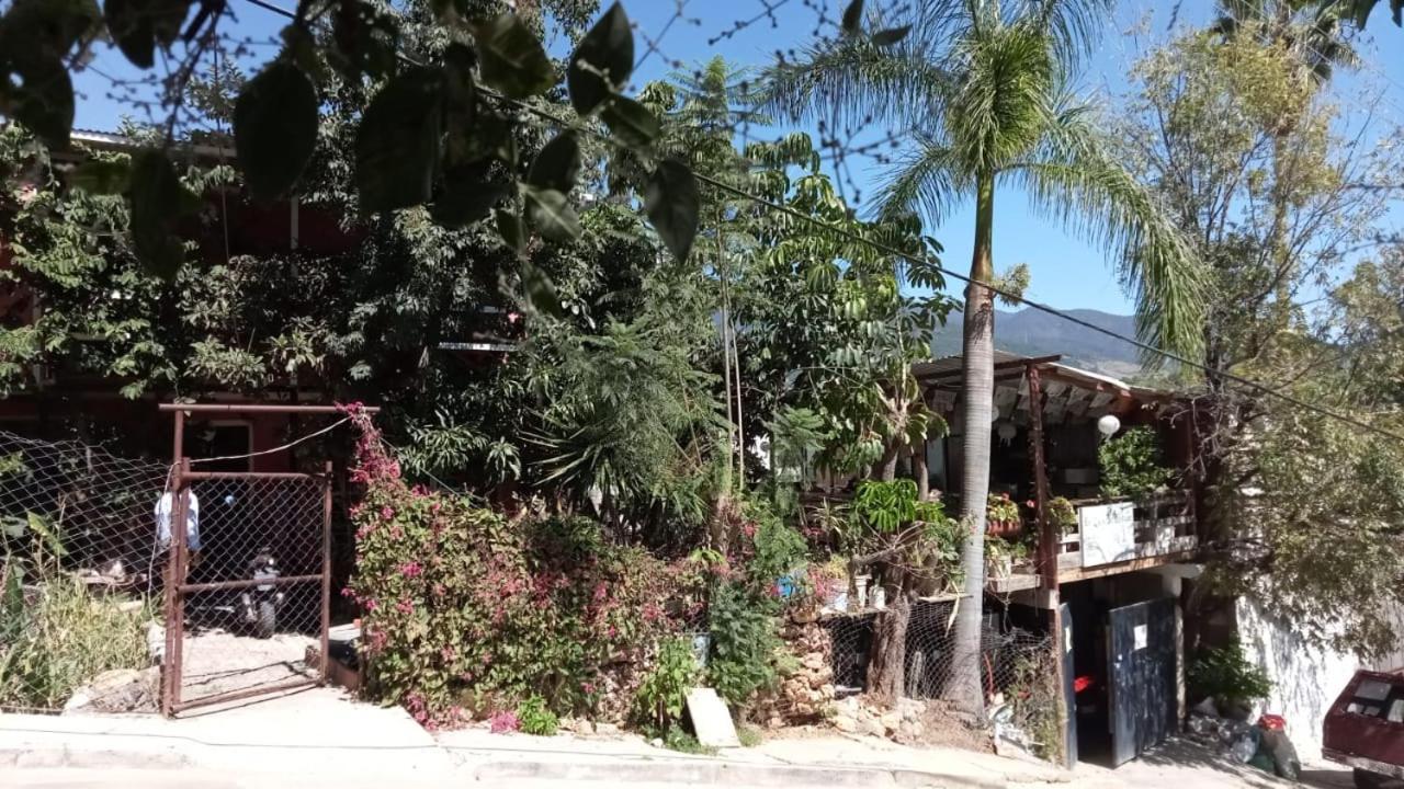 La Casa Del Nenufar Hotel Oaxaca Exterior foto